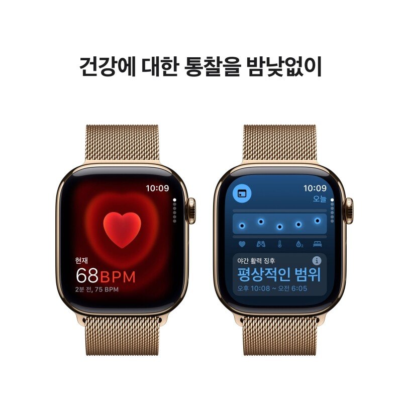 Apple Watch Series 10 밀레니즈 루프