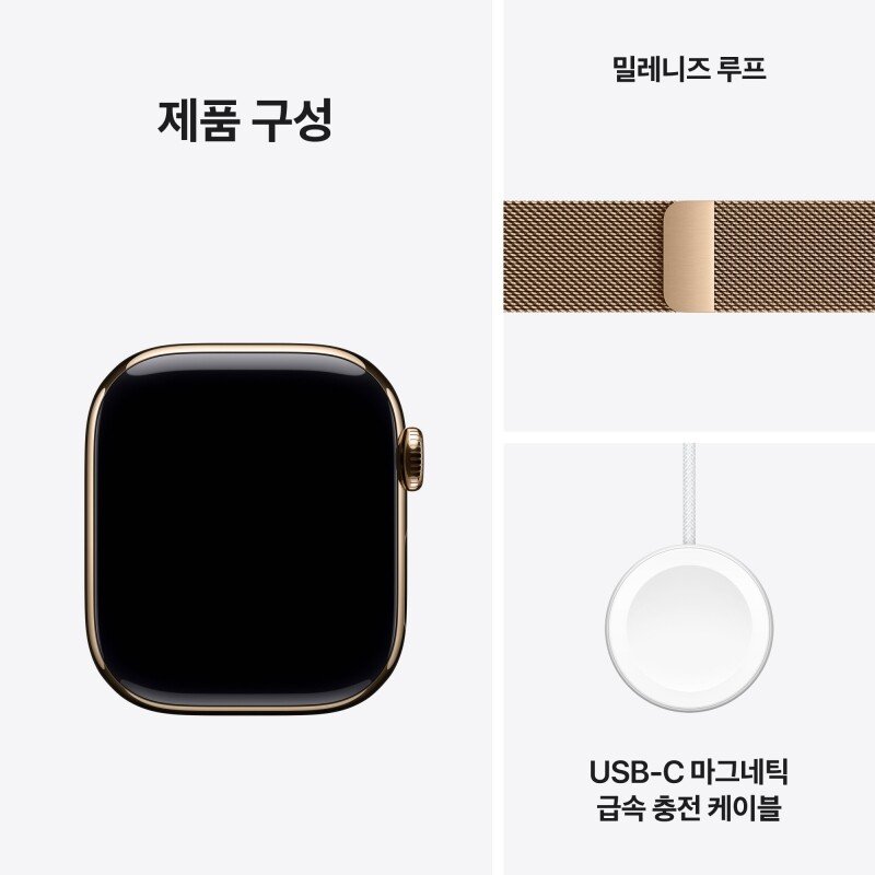 Apple Watch Series 10 밀레니즈 루프